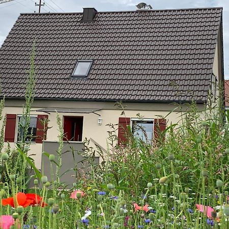 Ferienhaus Bei Lauingen, Mit Sauna Und Gartenlounge Veitriedhausen Esterno foto