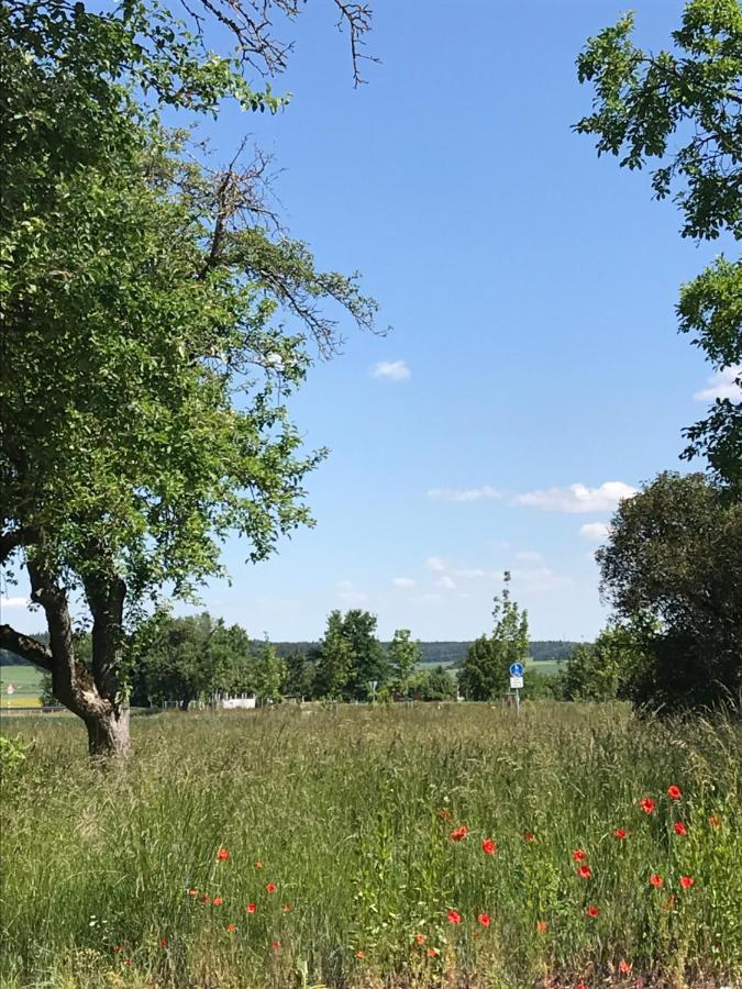 Ferienhaus Bei Lauingen, Mit Sauna Und Gartenlounge Veitriedhausen Esterno foto
