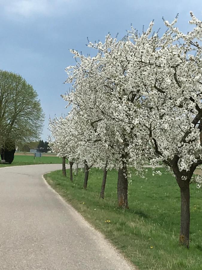 Ferienhaus Bei Lauingen, Mit Sauna Und Gartenlounge Veitriedhausen Esterno foto